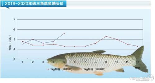 养殖量削减致水产饲料行业承压 夜市经济 或激活部分鱼类消费